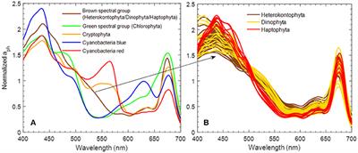 Phytoplankton Group Identification Using Simulated and In situ Hyperspectral Remote Sensing Reflectance